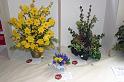 Sheila Ballard's prizewinning floral arrangements